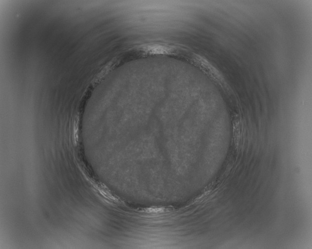 X0000082200406200702170023