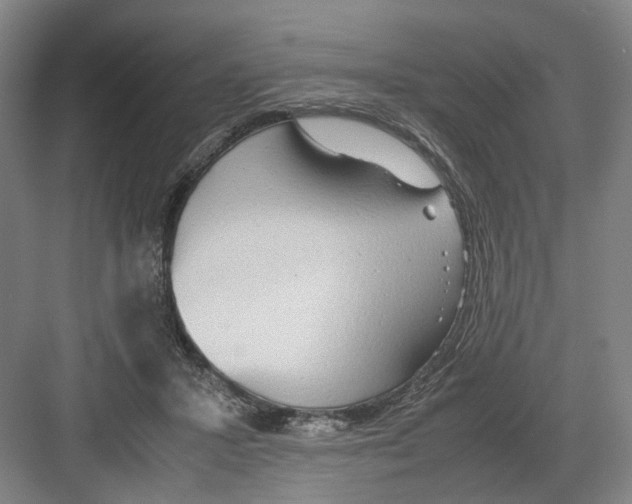 X0000082200407200702170023