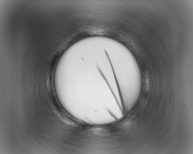 X0000082200408200702170023