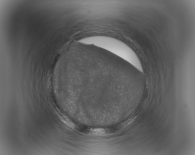 X0000082200409200702170023