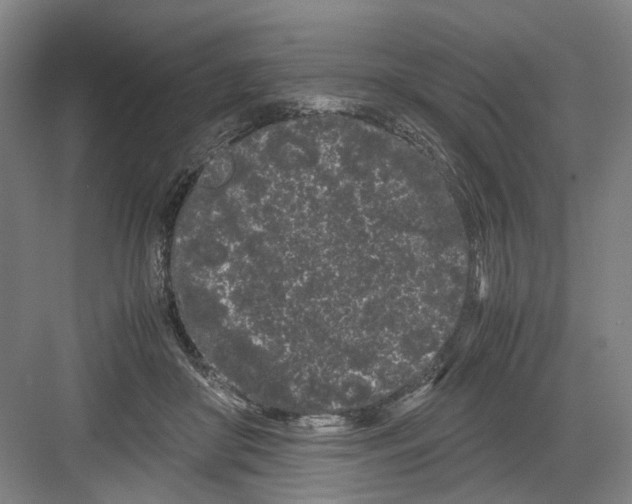 X0000082200410200702170023