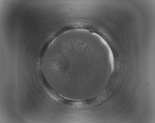 X0000082200411200702170023