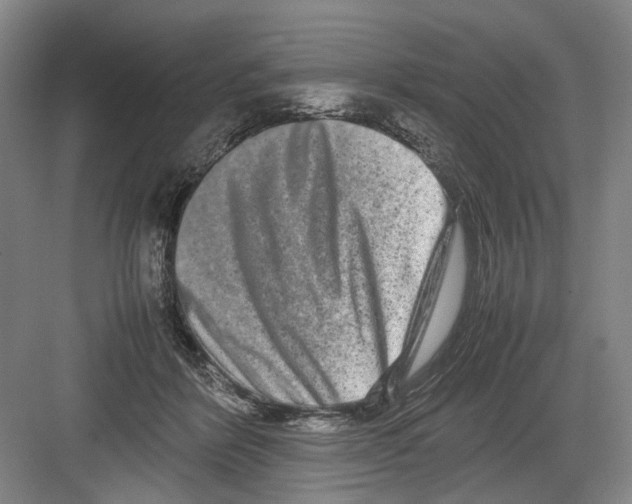 X0000082200412200702170023