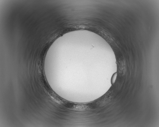 X0000082200414200702170023