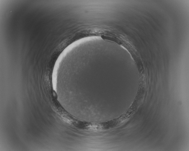 X0000082200415200702170023