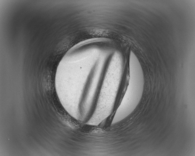 X0000082200416200702170023