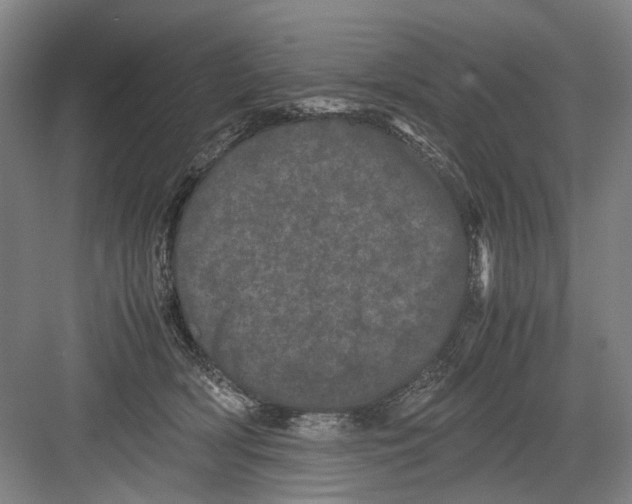 X0000082200418200702170023