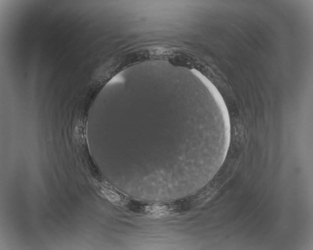 X0000082200419200702170023