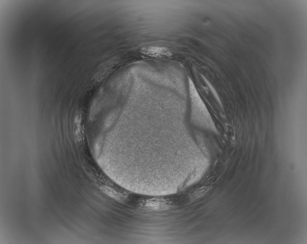 X0000082200420200702170023