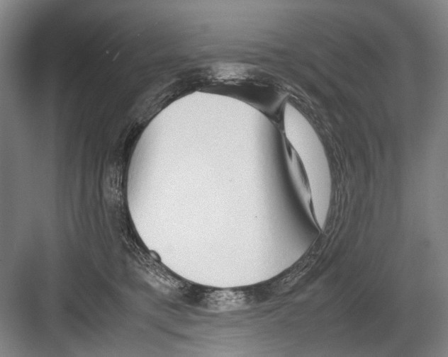 X0000082200421200702170023