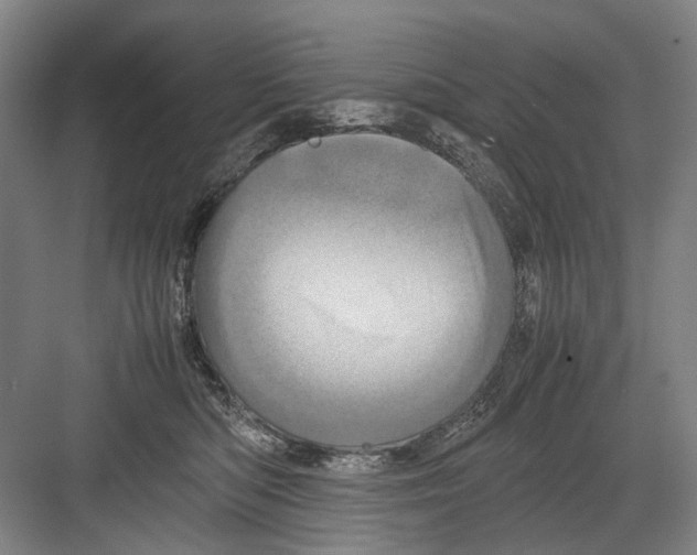 X0000082200422200702170023