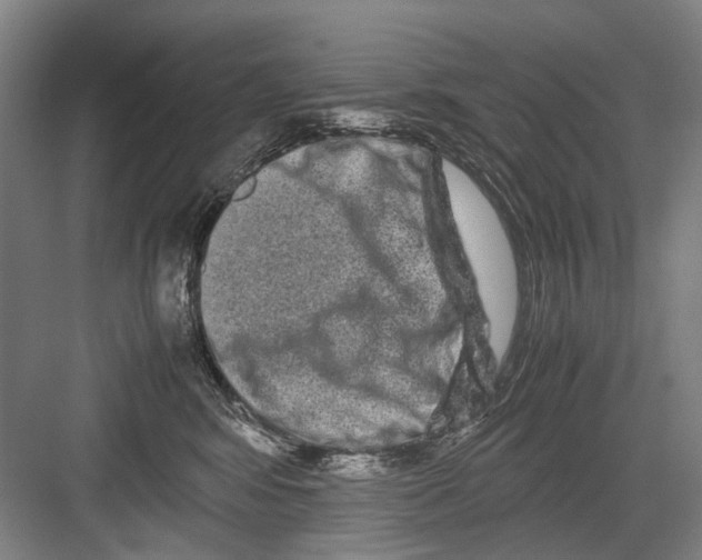 X0000082200424200702170023