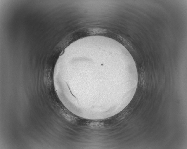 X0000082200426200702170023