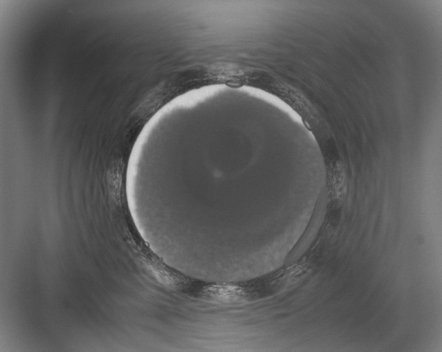 X0000082200427200702170023