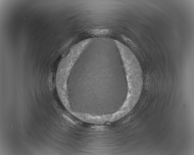 X0000082200428200702170023