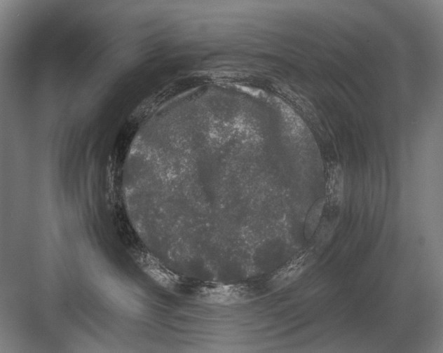 X0000082200430200702170023