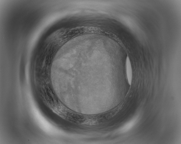 X0000082200431200702170023