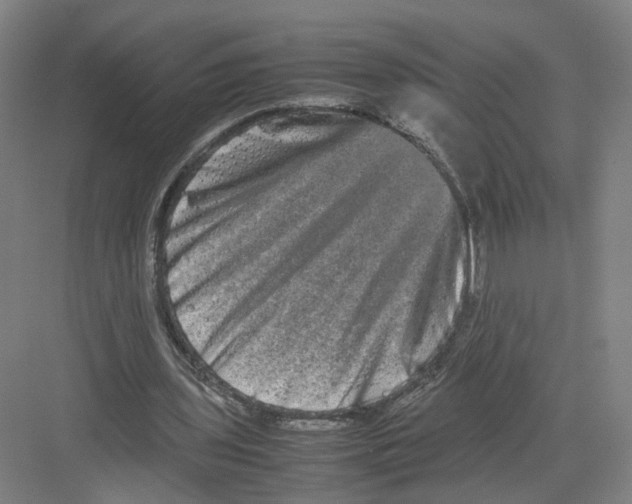 X0000082200435200702170022