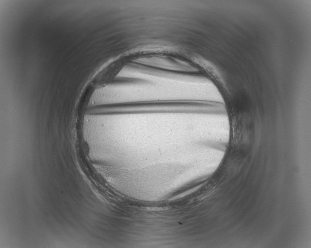 X0000082200436200702170022