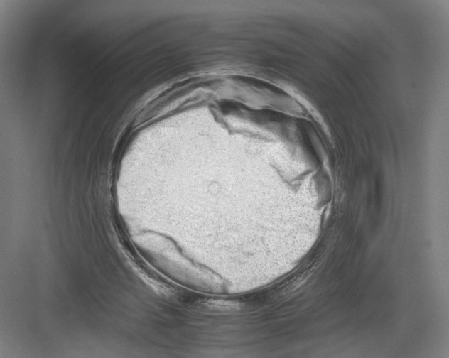 X0000082200437200702170022