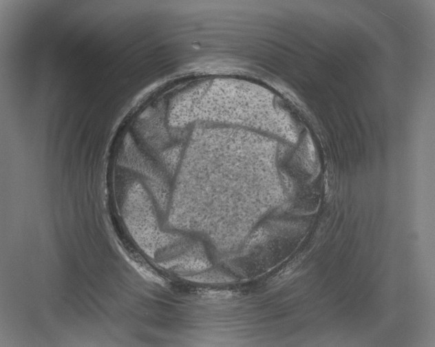 X0000082200438200702170022