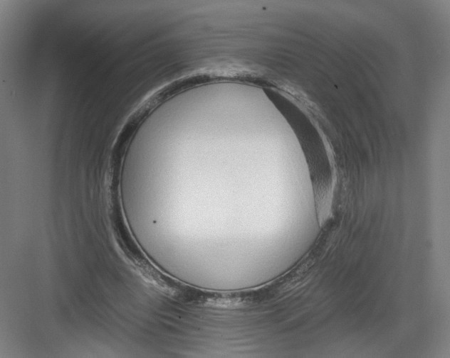 X0000082200440200702170022