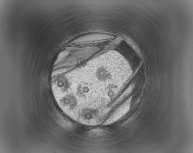 X0000082200441200702170022