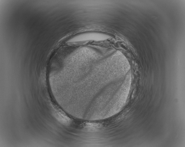 X0000082200442200702170022