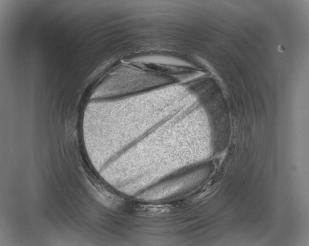 X0000082200443200702170022