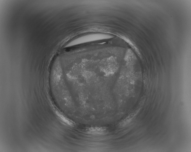 X0000082200445200702170022