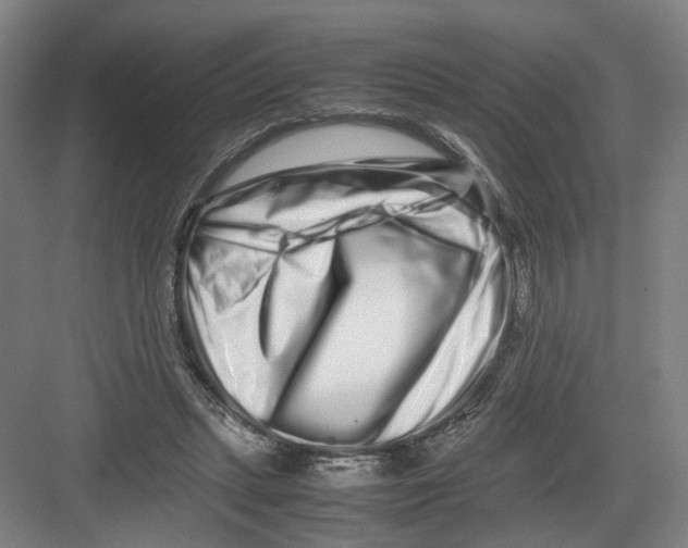 X0000082200447200702170022