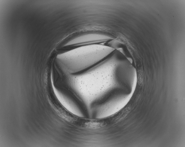 X0000082200448200702170022