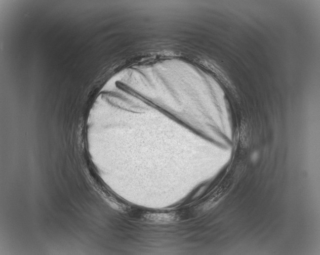 X0000082200449200702170022