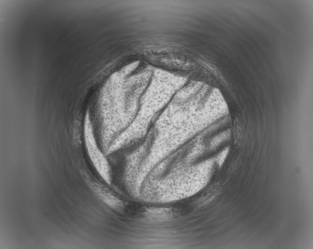 X0000082200450200702170022