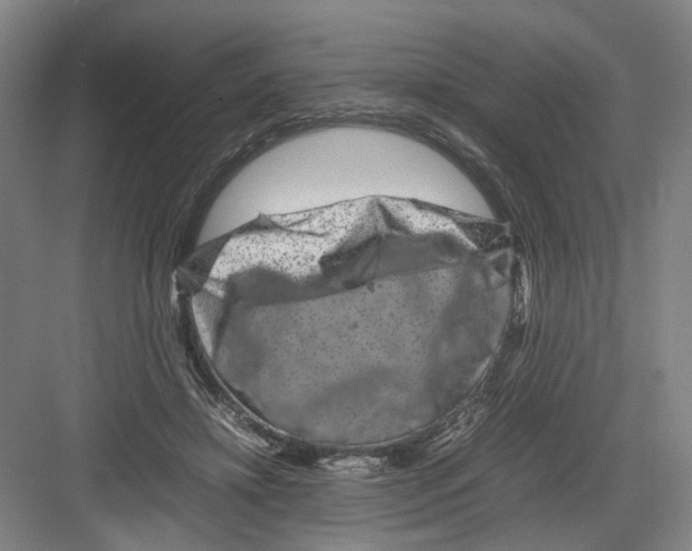 X0000082200452200702170022