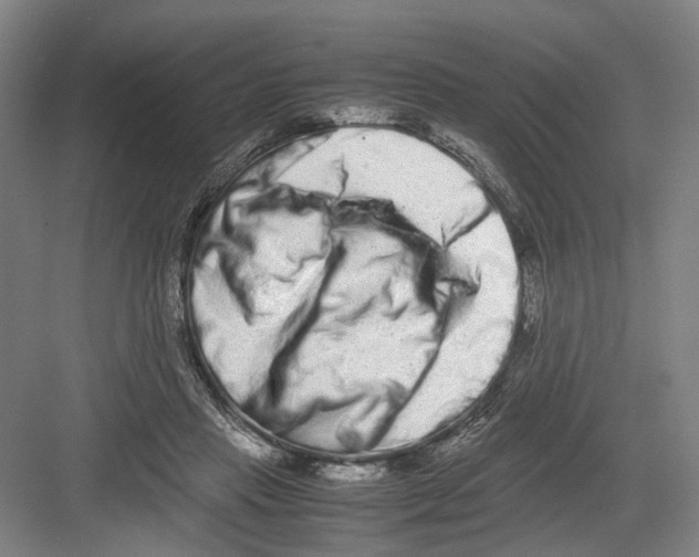 X0000082200453200702170022