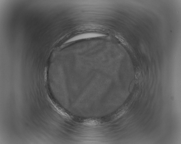 X0000082200454200702170022