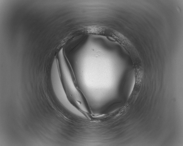 X0000082200456200702170022