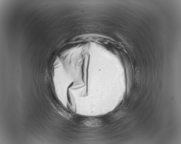 X0000082200459200702170023