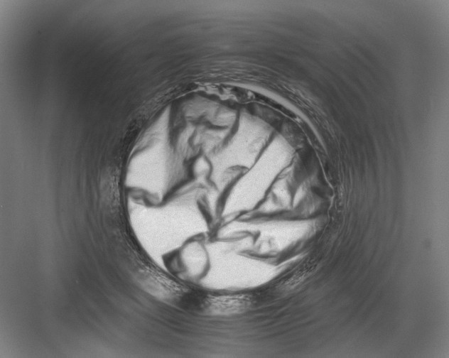 X0000082200461200702170023