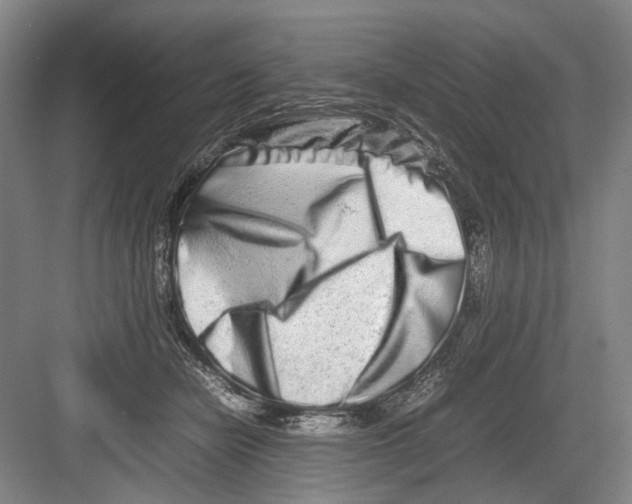 X0000082200462200702170023