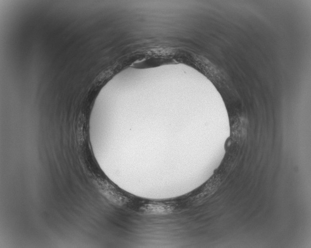 X0000082200464200702170023