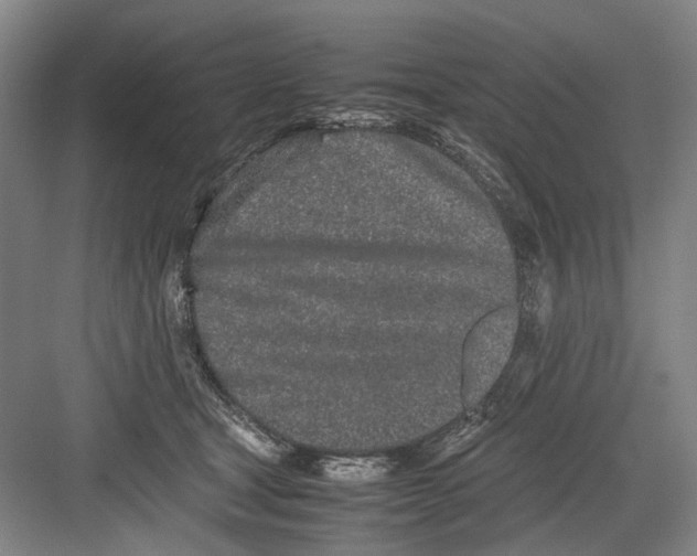 X0000082200465200702170023