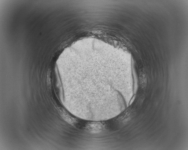 X0000082200466200702170023