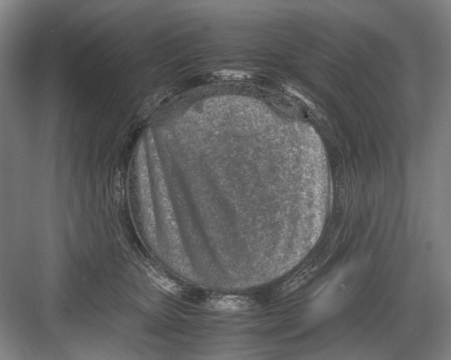 X0000082200467200702170023