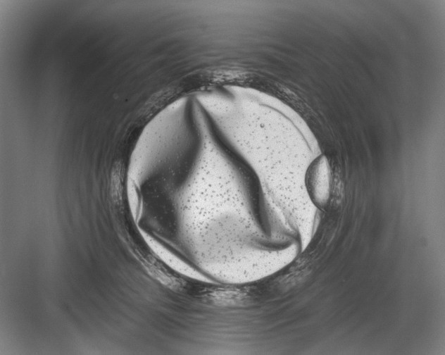 X0000082200468200702170023