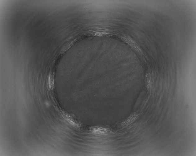 X0000082200471200702170023