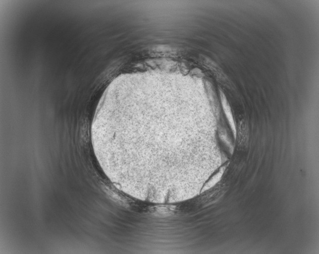 X0000082200474200702170023