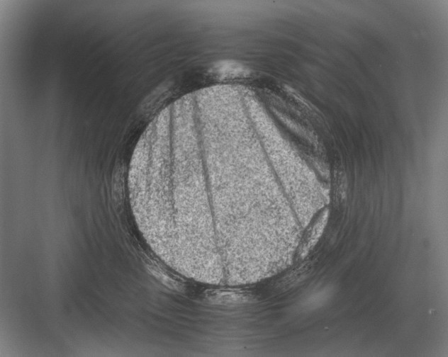 X0000082200475200702170023