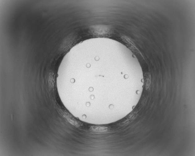 X0000082200476200702170023